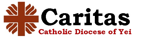 Catholic Diocese of Yei